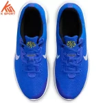 Men's shoes Nike FLEX EXPERIENCE RN 11 NN DD9284 402